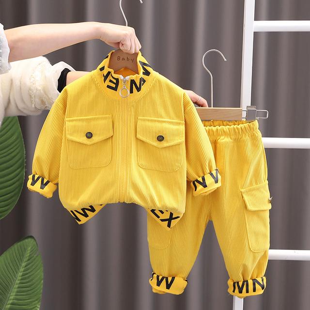 Top Quality 2pcs kiddies Wears